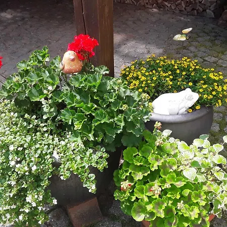 Im Altstadtkern Von Waren Mueritz